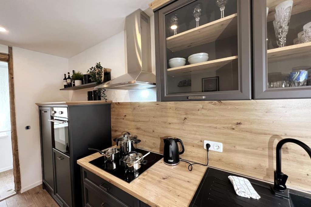 Ar Apartments III I 4 Pers I Modern I Schillerapartment Rudolstadt Exterior foto
